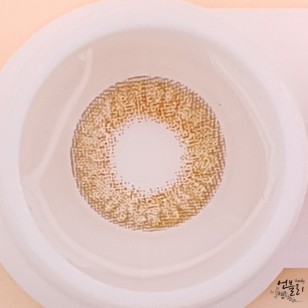 My Ann Somthing Brown(月拋)